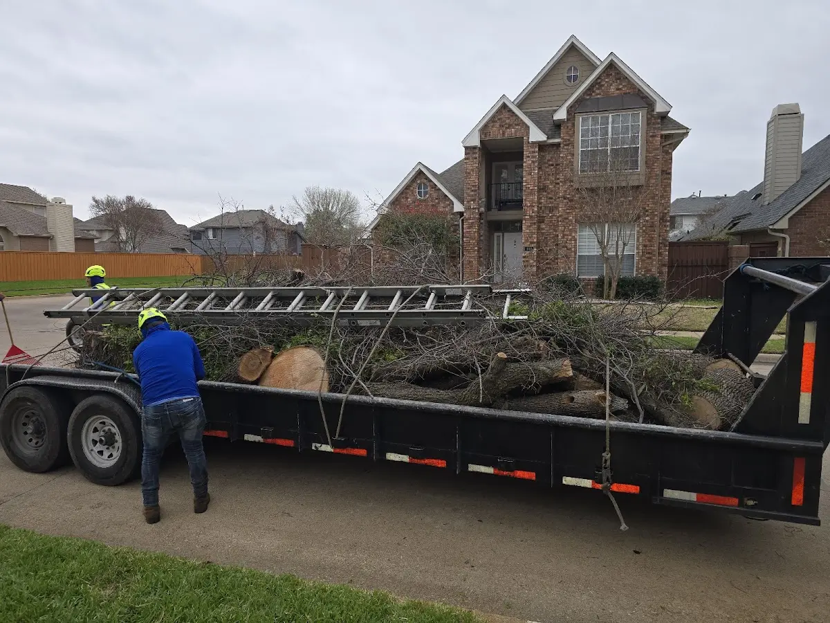 Expert Tree Fertilization with proper safety equipment in Progreso